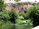 Banias Water Springs