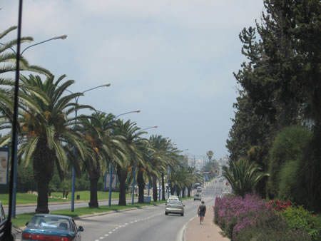 Ashkelon