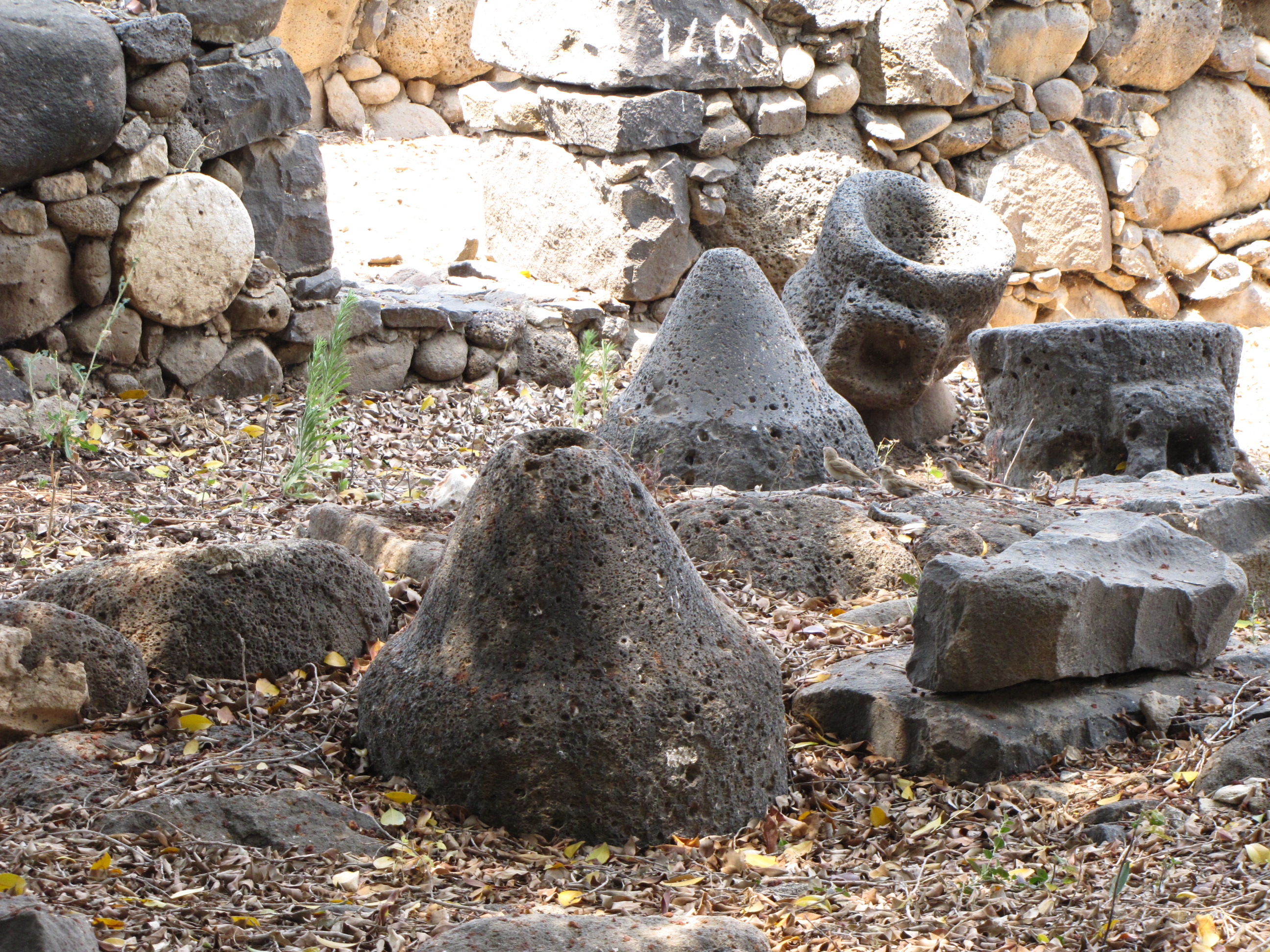 Industrial Park in Capernaum