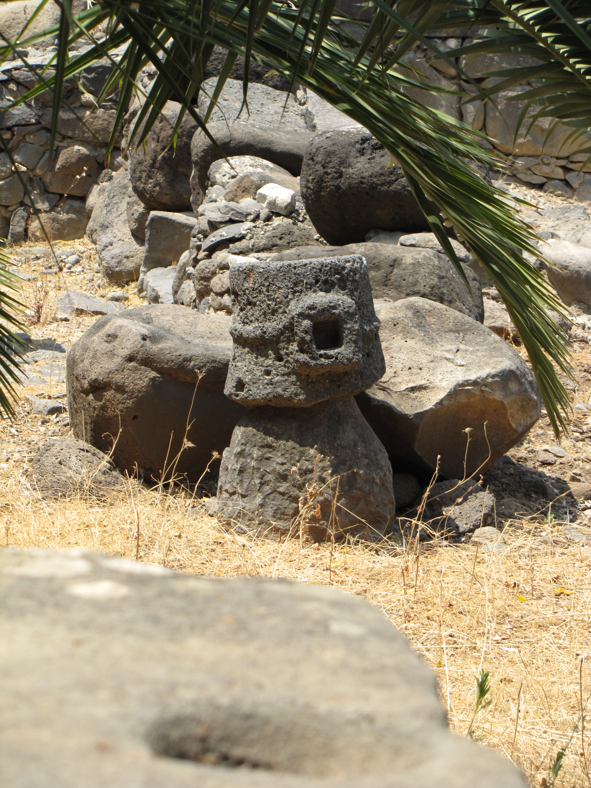 Industrial Park in Capernaum