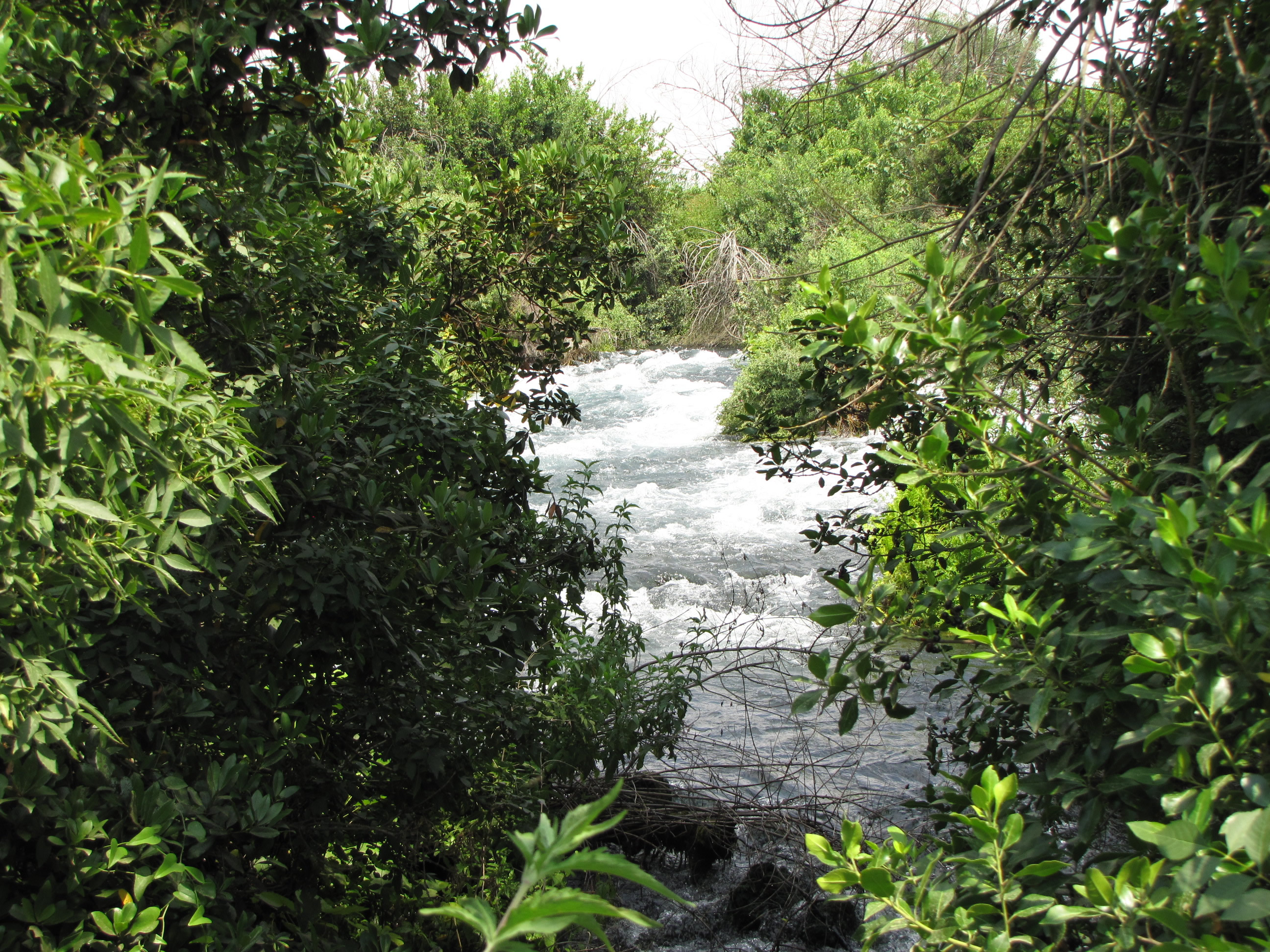 Dan Water Springs