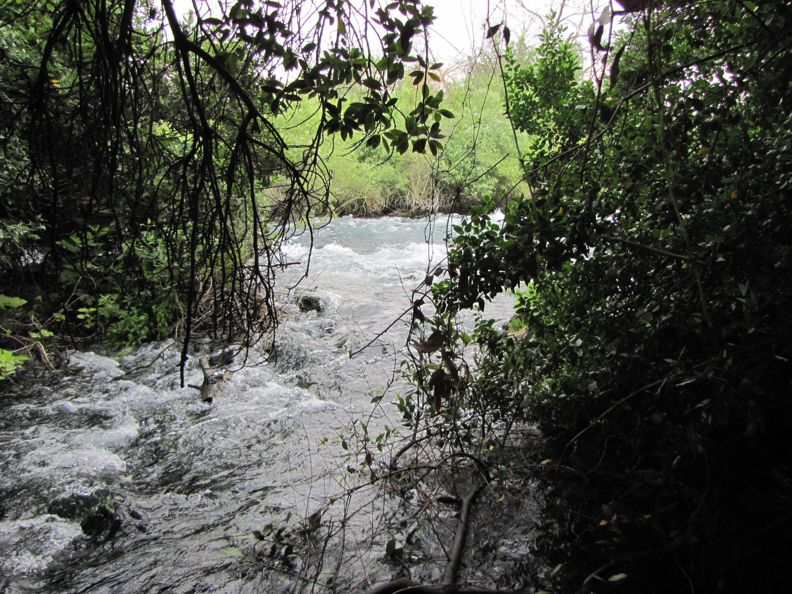 Dan Water Springs