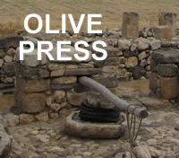 Olive Press