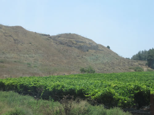 Lachish