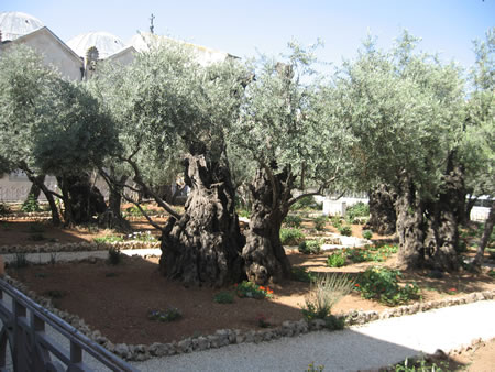 Gethsemane