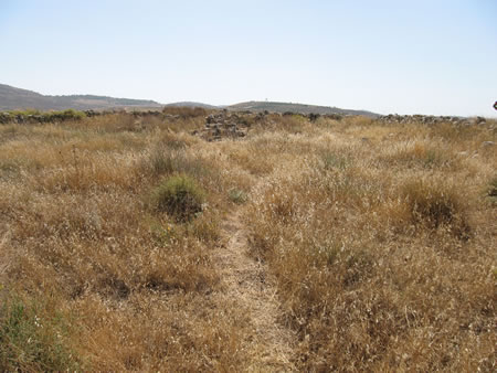 We have now walked through the gate and into the outer court of the tabernacle.  I am standing near the altar of burnt offering and looking towards the tabernacle tent.  The ark of the covenant would have sat in the back of the tent near the back (west) wall that we can see here.