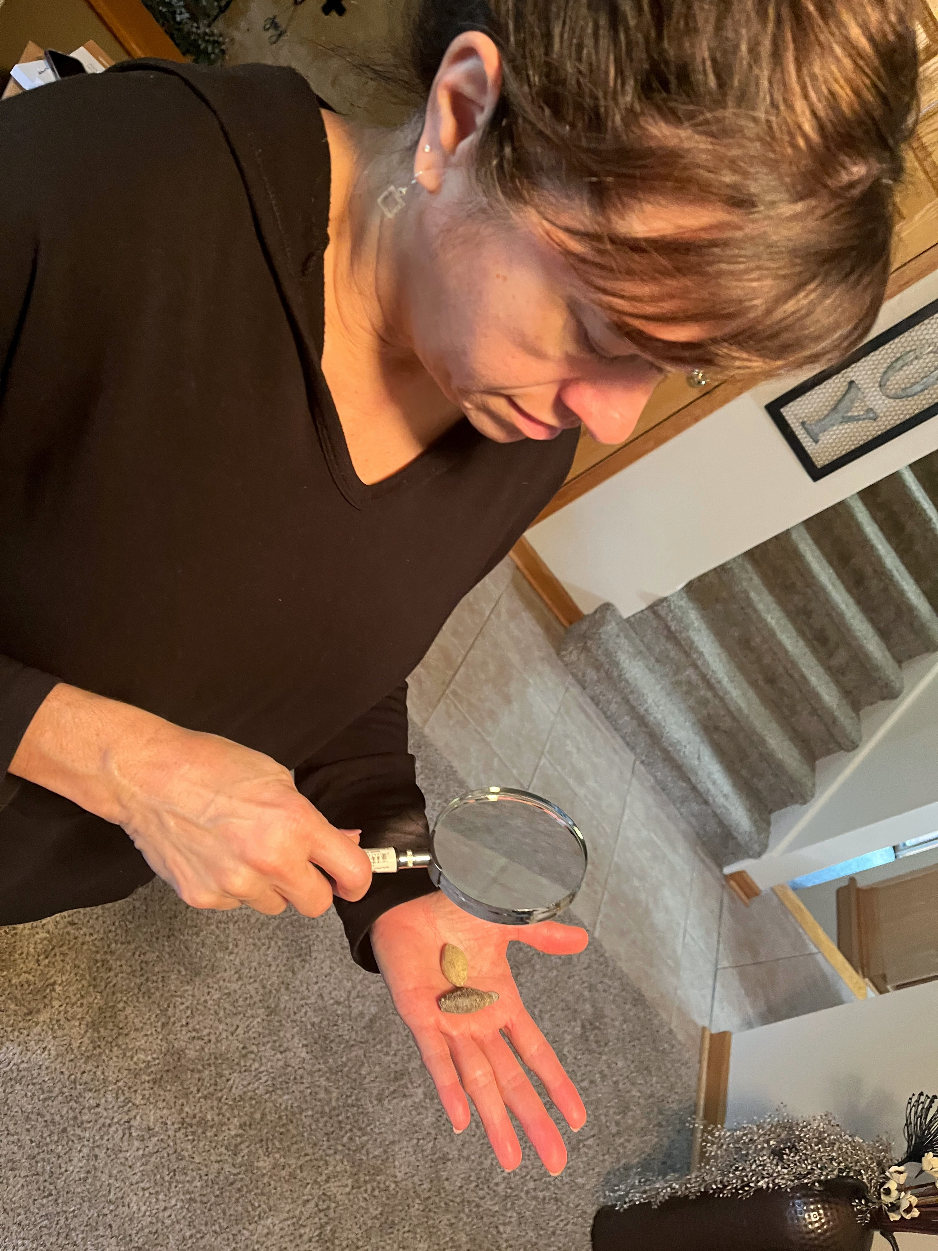 10 90 AD Roman Lead Sling stone black inscription 6 Toni with Magnifying glass and Slingstones FULL