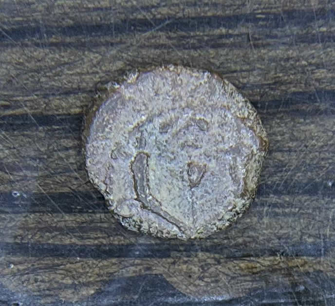 104 103 John Hyrcanus II Reverse two cornucopias with ribbons pomegranate rising in middle and border of dots 1 FULL