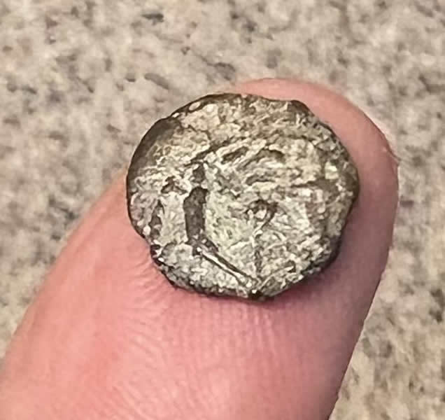 104 103 John Hyrcanus II Reverse two cornucopias with ribbons pomegranate rising in middle and border of dots 2B FULL