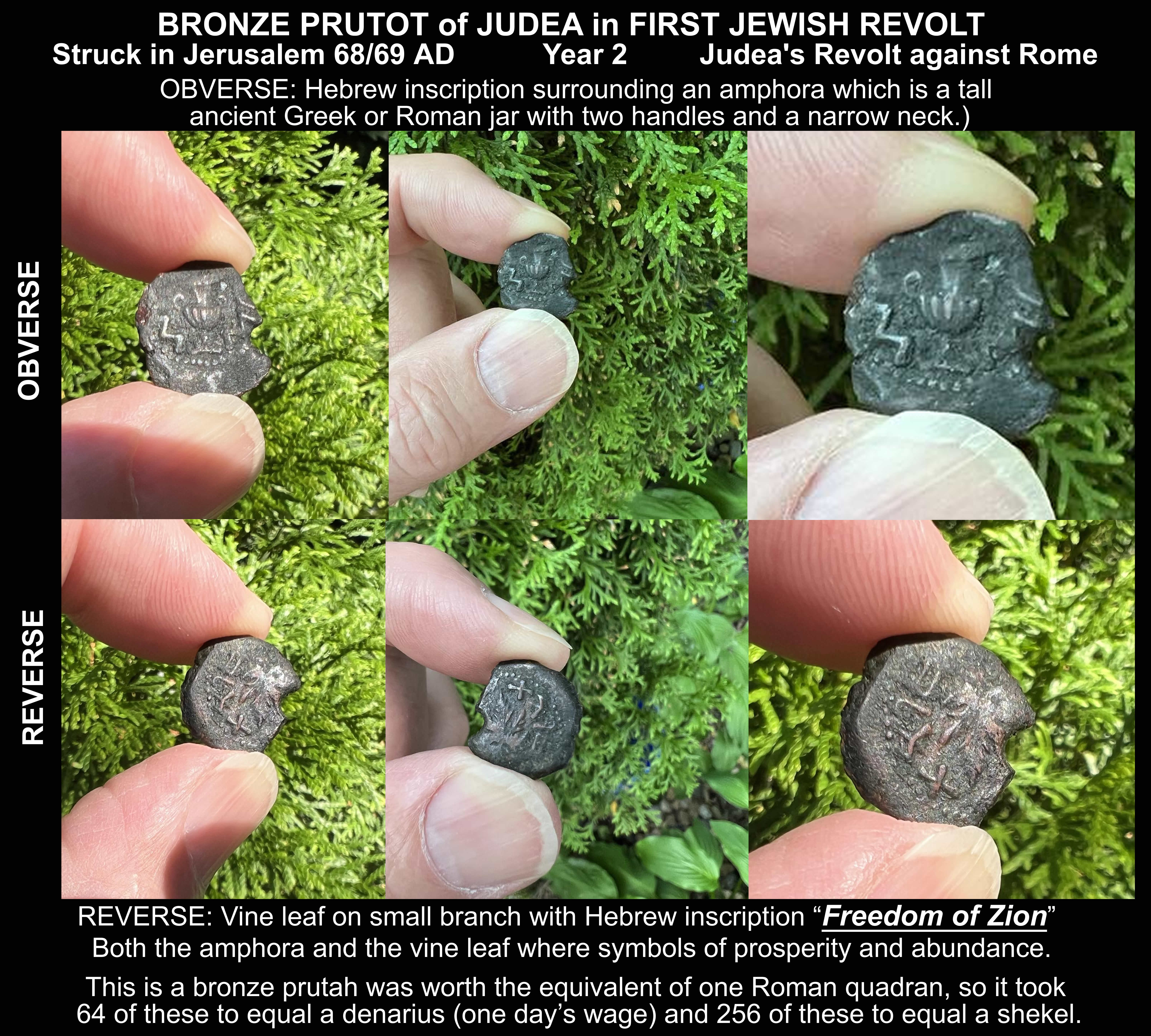 68 AD Jewish First Revolt year two FREEDOM OF ZION obverse amphora reverse vine leaf branch FULL
