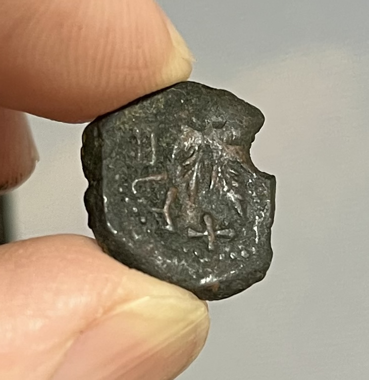 68 AD Jewish coin 5 struck by rebels Vine leaf on small branch FREEDOM OF ZION reverse FULL