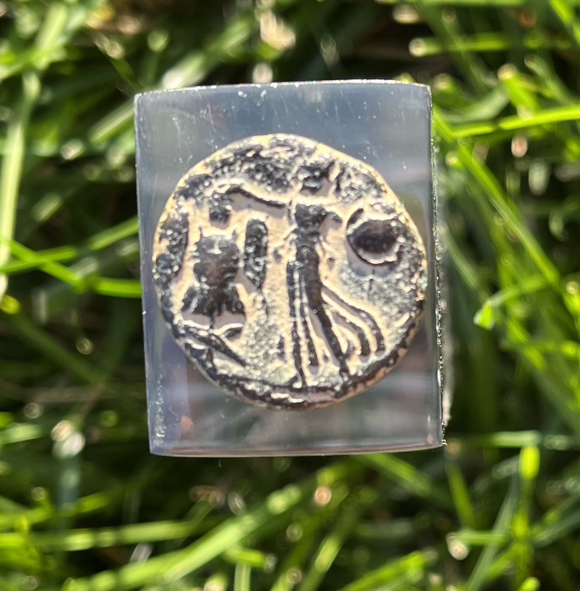 83 AD Domitian Judaea Capta coin reverse Minerva Athena trophy right spear and shield left Full