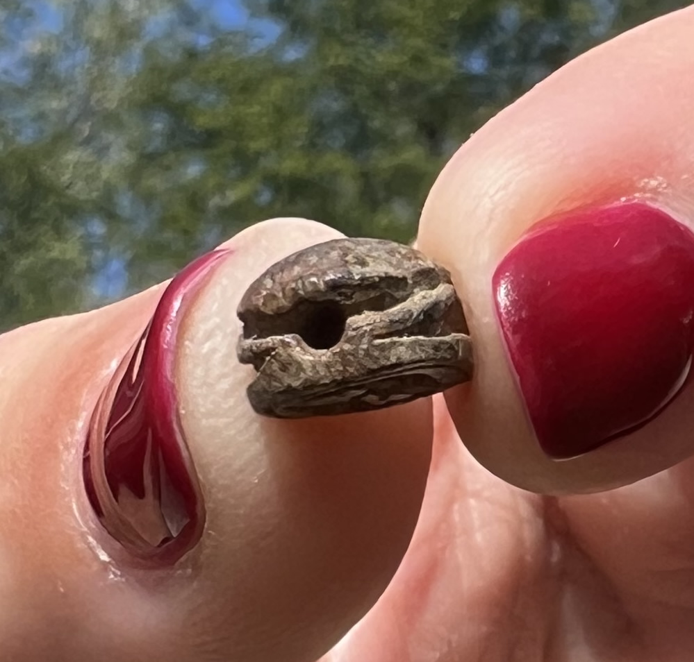 1570 1075 BC Egyptian Scarab two crocodiles head to tail Suspension Hole